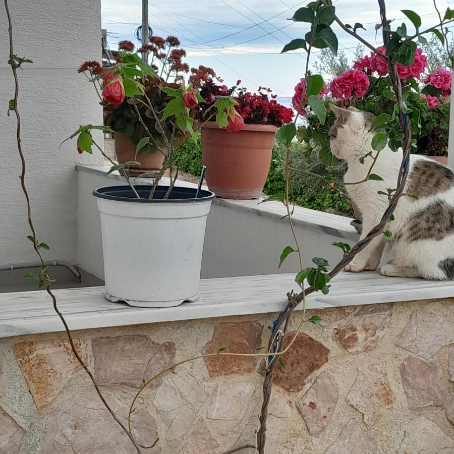 Denni'S Home Саранда Екстер'єр фото