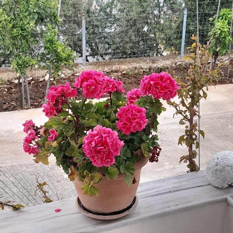 Denni'S Home Саранда Екстер'єр фото