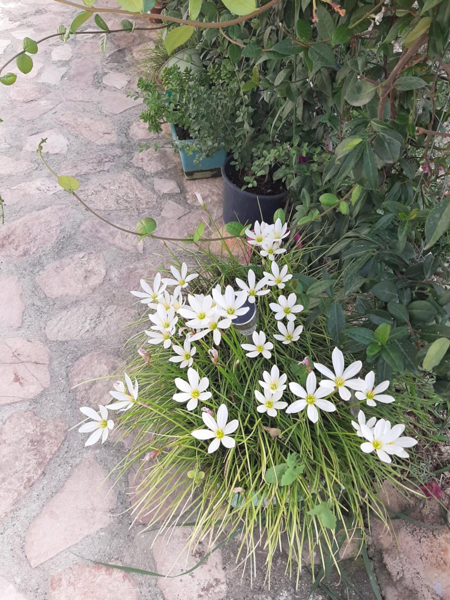 Denni'S Home Саранда Екстер'єр фото